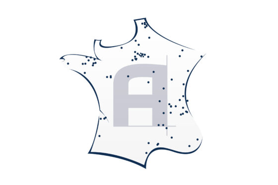 Agence Design + Build Paris : Vos Projets de Construction et Rénovation Clé en Main
