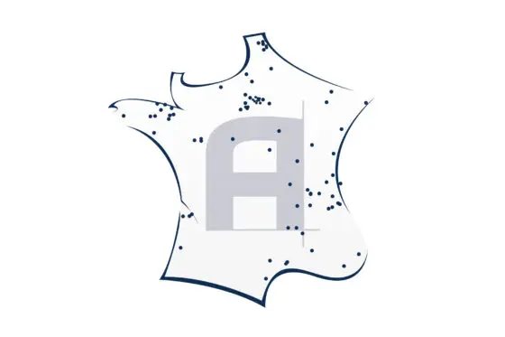 Agence Design + Build Paris : Vos Projets de Construction et Rénovation Clé en Main — Xiléades Architecteurs