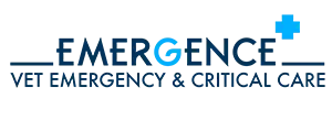 Logo Emergence — Xiléades-Kund:in