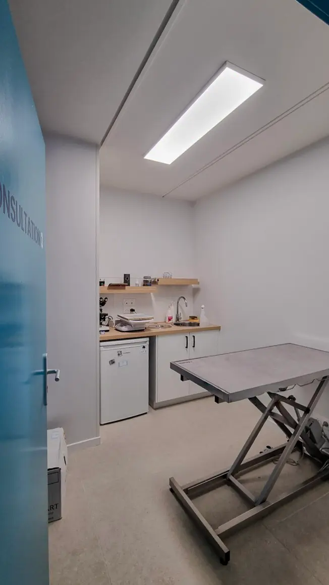 Clinique Vétérinaire Univet Colombes : Aménagement Design+Build par Xiléades, Agence Architecture Paris — vue 6