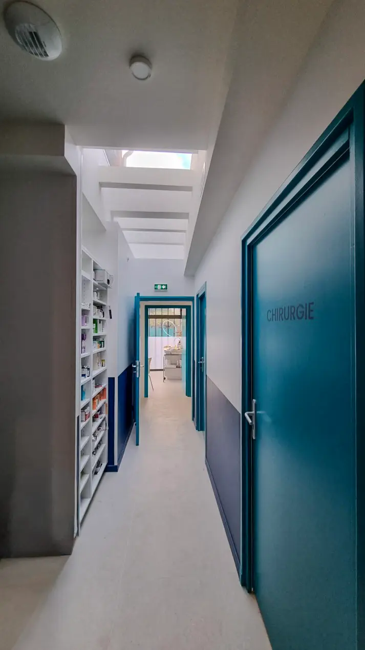 Clinique Vétérinaire Univet Colombes : Aménagement Design+Build par Xiléades, Agence Architecture Paris — vue 7