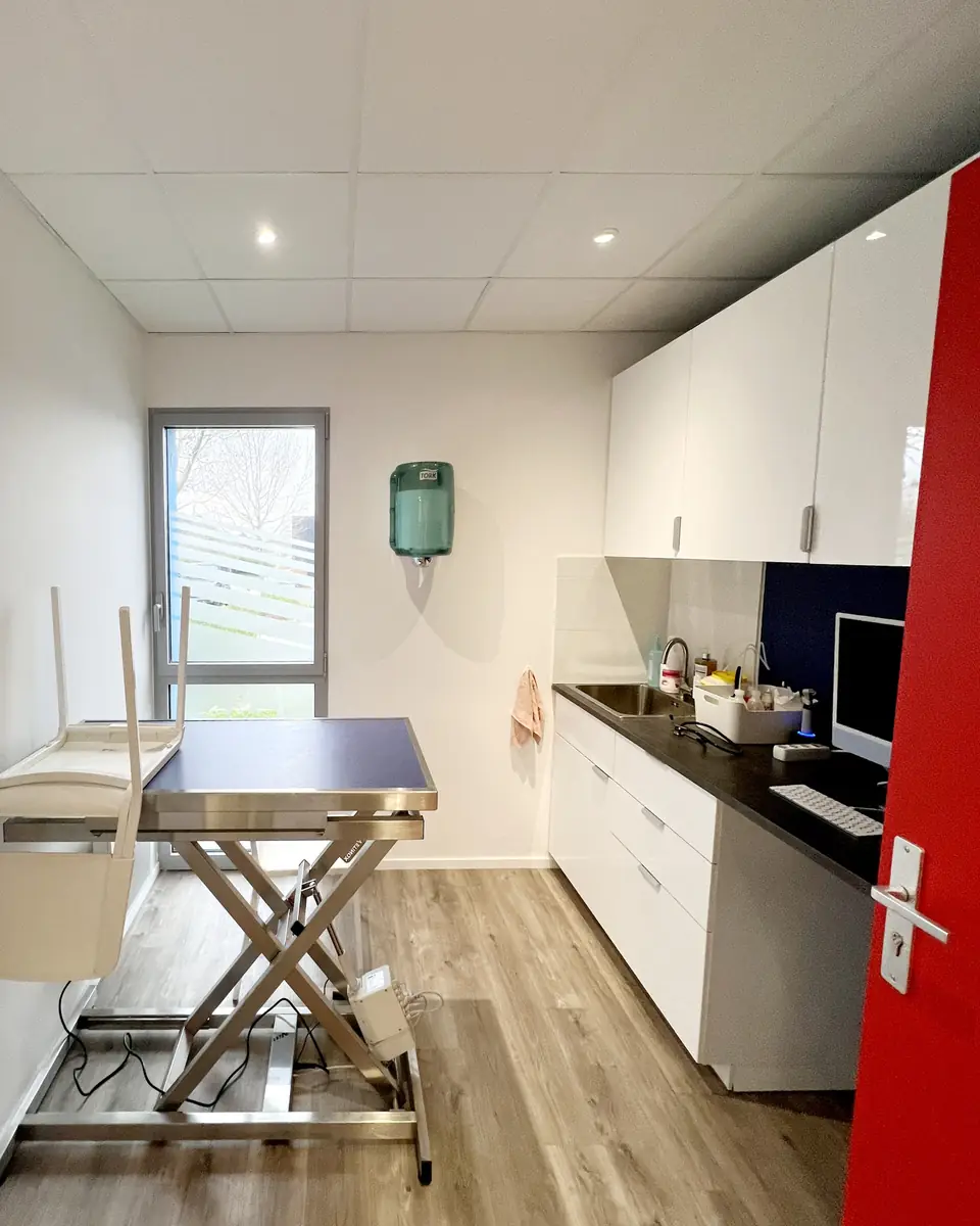 Clinique Vétérinaire MUV Auray : Aménagement & Construction par Xiléades, Agence Design+Build Bretagne — Médical & Vétérinaire by Xiléades