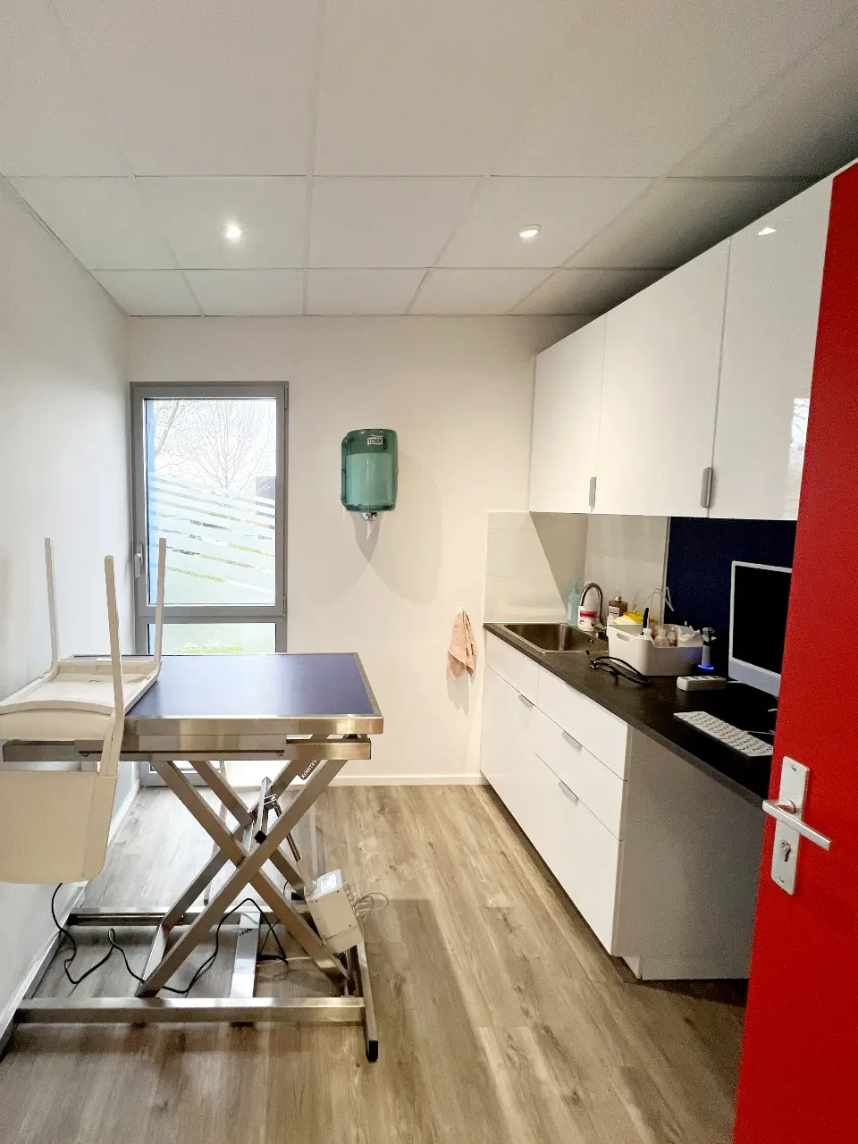 Salle de consultation vétérinaire moderne avec table d'examen en acier, paillasse blanche avec évier et grand fenêtre.