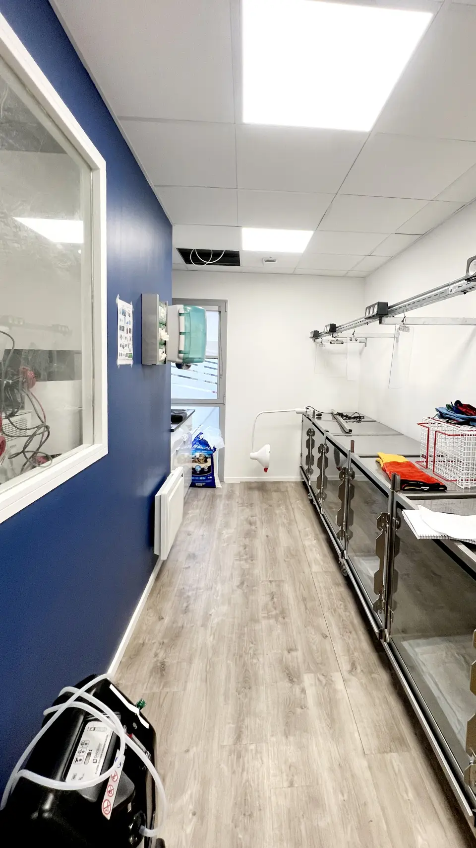 Couloir clinique vétérinaire avec mur bleu, plafond blanc et sol imitation parquet, cages et équipements médicaux.
