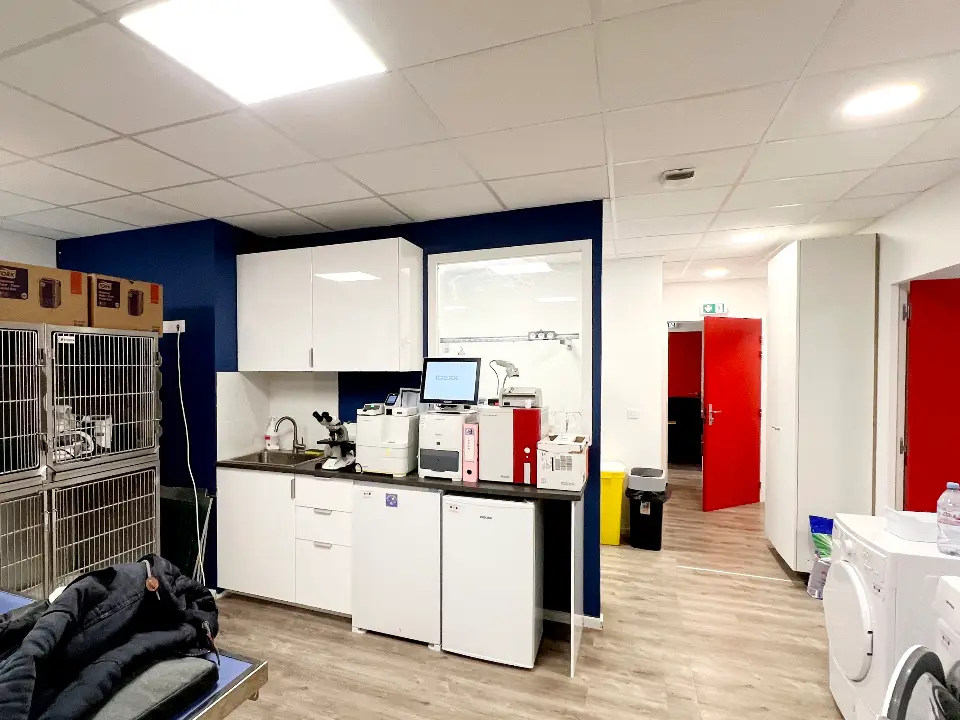 Vue large d'une salle de diagnostic et de traitement, avec un long comptoir, des équipements médicaux et des cages en métal.
