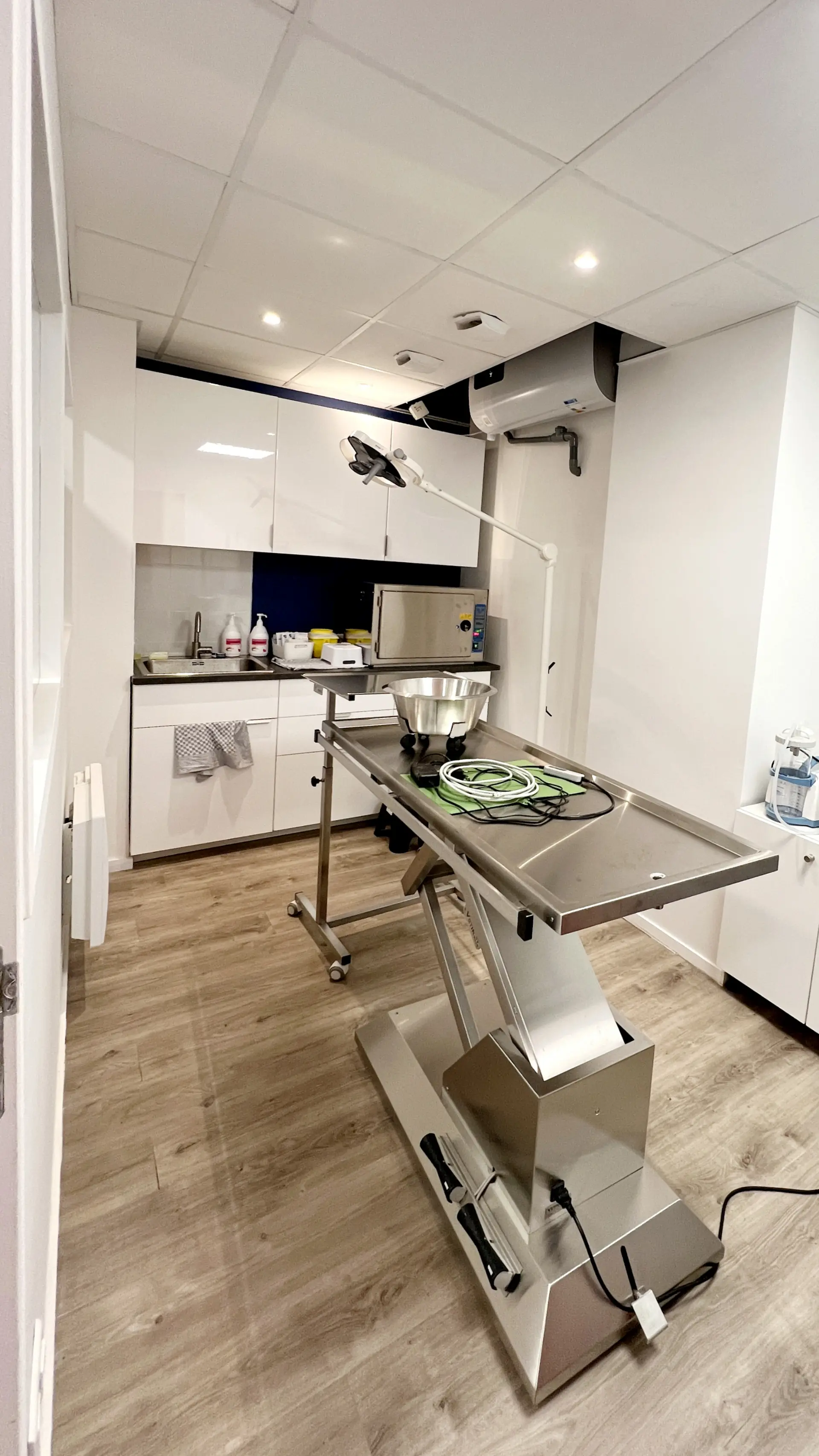 Salle d'examen vétérinaire moderne avec table d'opération en acier inoxydable, plancher en bois clair, et armoires blanches brillantes.