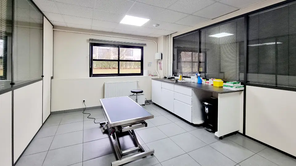 Salle de consultation vétérinaire moderne avec table d'examen métallique réglable, carrelage gris et mobilier fonctionnel.