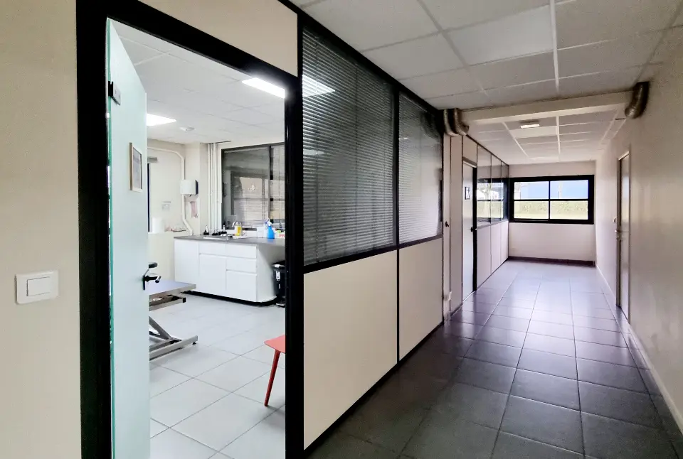 Couloir de clinique vétérinaire avec sol carrelé sombre, cloisons vitrées à lamelles horizontales et accès à une salle de travail.