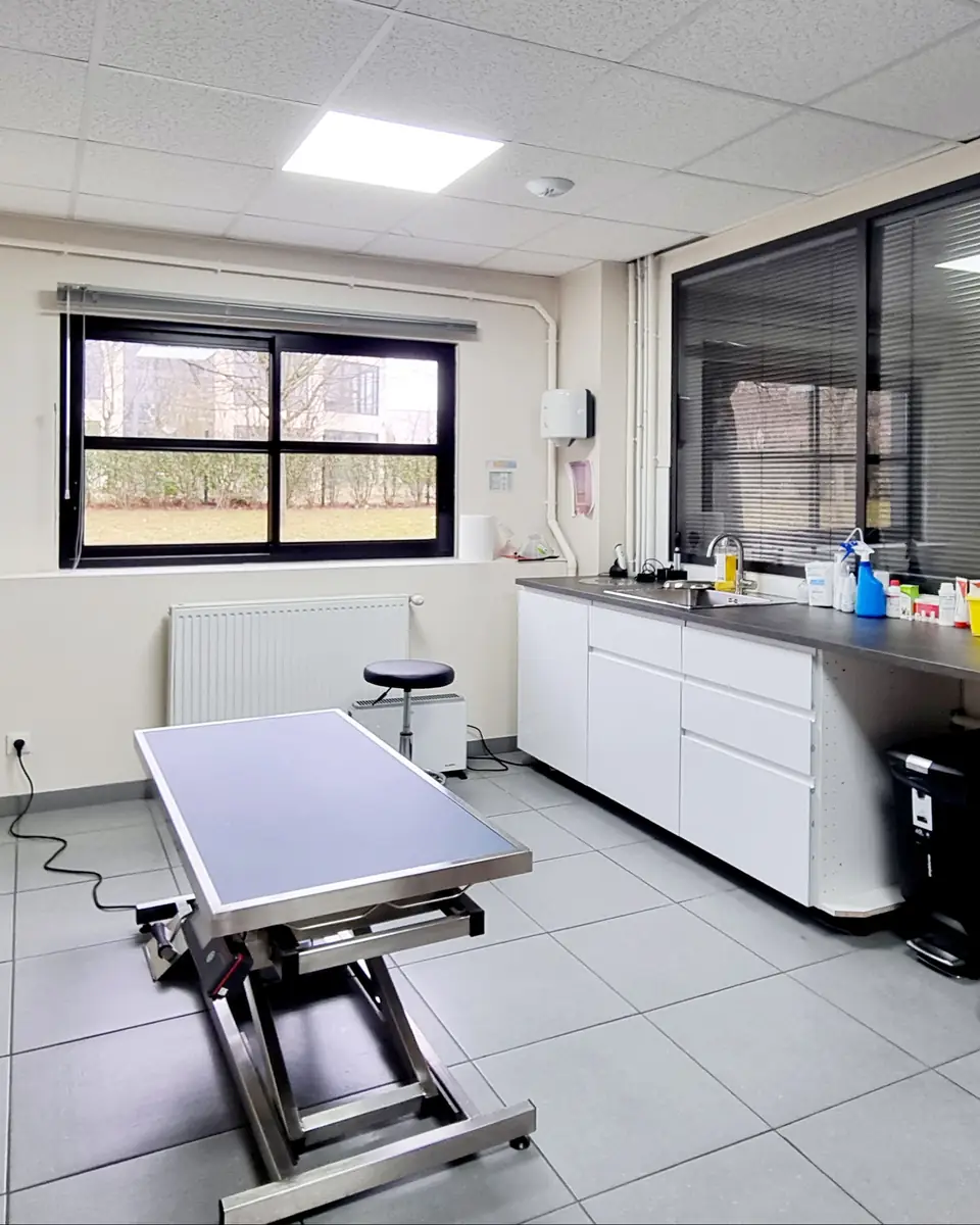MUV Brie-Comte-Robert : Projet Design+Build & Rénovation Locaux Professionnels - Xiléades (77) — Médical & Vétérinaire by Xiléades