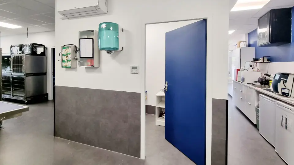 Rénovation & Aménagement Clinique Vétérinaire MUV Échirolles | Agence Design+Build — vue 4