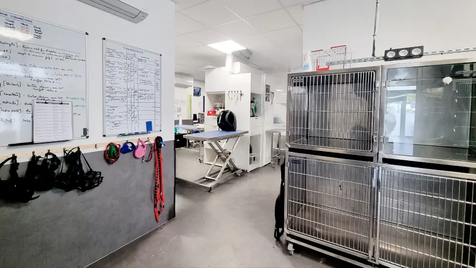 Rénovation & Aménagement Clinique Vétérinaire MUV Échirolles | Agence Design+Build — vue 5