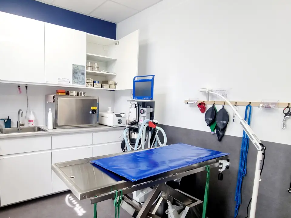 Rénovation & Aménagement Clinique Vétérinaire MUV Échirolles | Agence Design+Build — vue 7