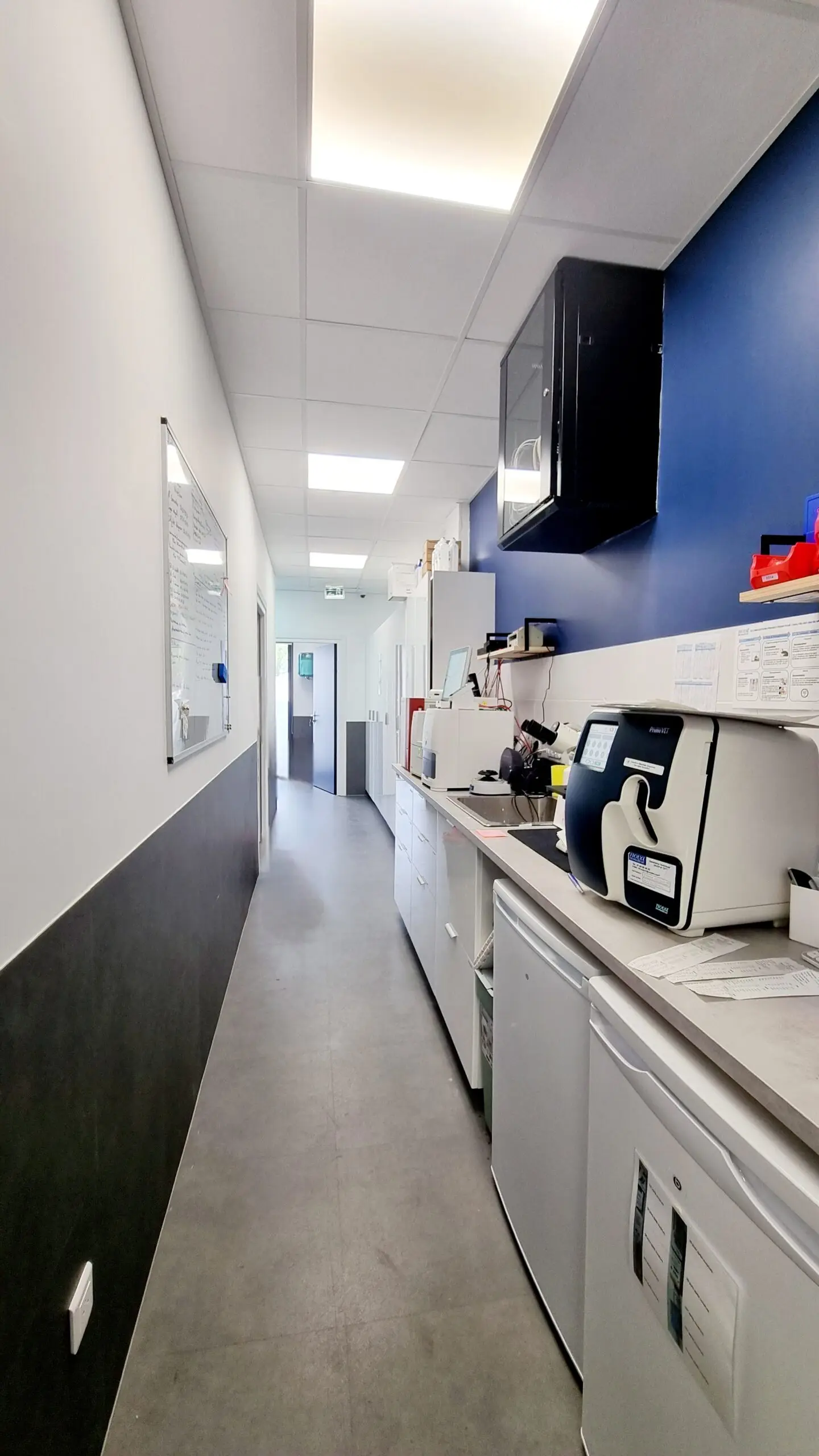 Rénovation & Aménagement Clinique Vétérinaire MUV Échirolles | Agence Design+Build — vue 9