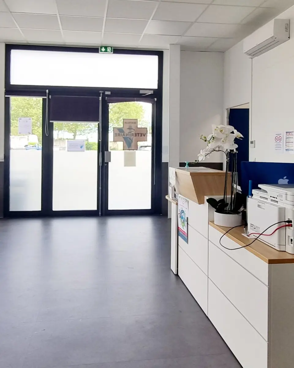 Rénovation & Aménagement Clinique Vétérinaire MUV Échirolles | Agence Design+Build — Médical & Vétérinaire by Xiléades