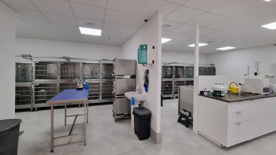 Salle de préparation lumineuse avec des cages vétérinaires en inox, des comptoirs de travail et un mobilier médical moderne.