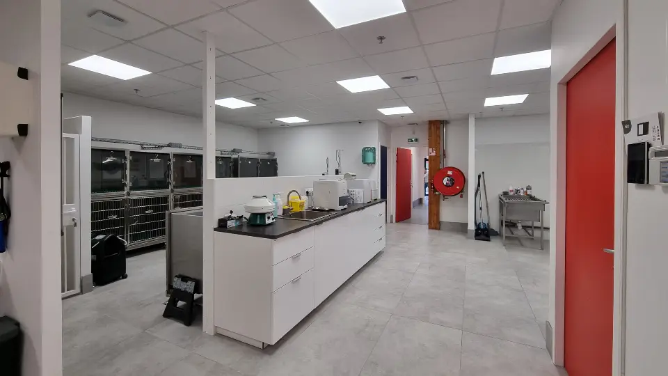 Intérieur d'une clinique vétérinaire moderne avec des sols gris, des murs blancs et des plafonds lumineux éclairés par des dalles LED.