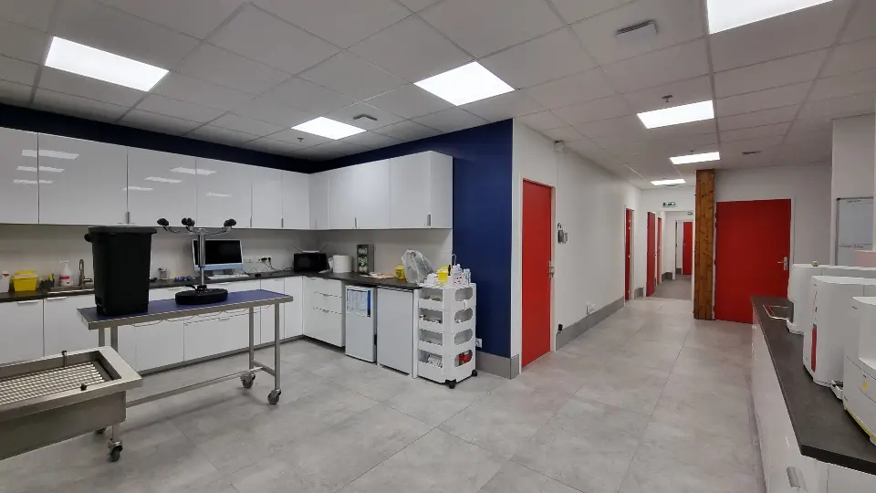 Vue large d'une salle de préparation vétérinaire avec comptoirs blancs, murs bleus et couloir à portes rouges.