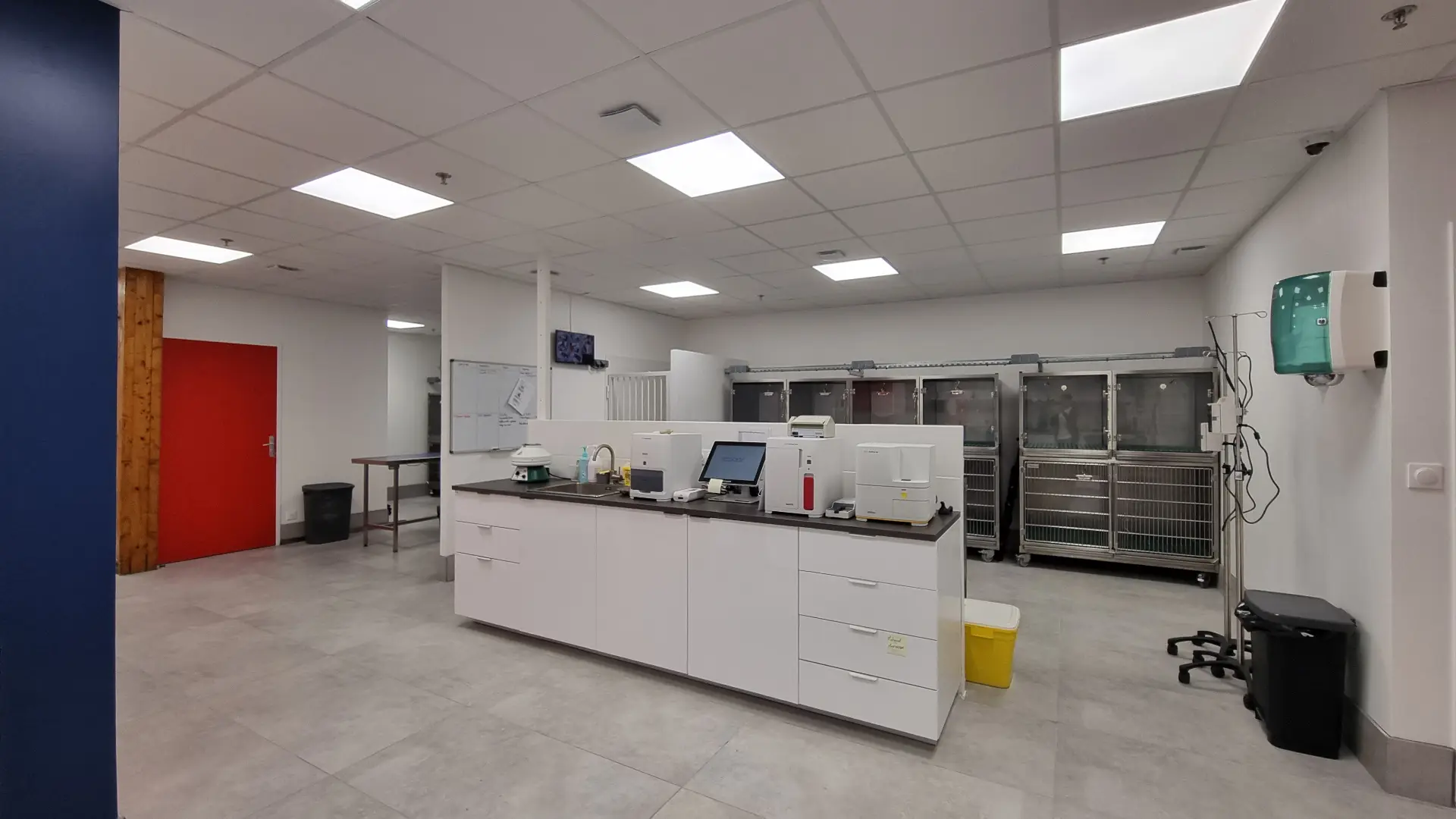 Vue d'un laboratoire vétérinaire moderne avec mobilier blanc, équipements médicaux et cages, sous un éclairage vif.