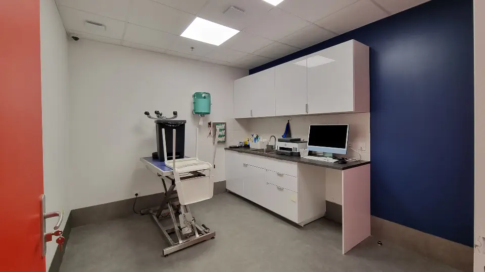 Salle de consultation vétérinaire moderne avec murs blancs et bleu, meuble lavabo intégrant un ordinateur, table d'examen et porte rouge.