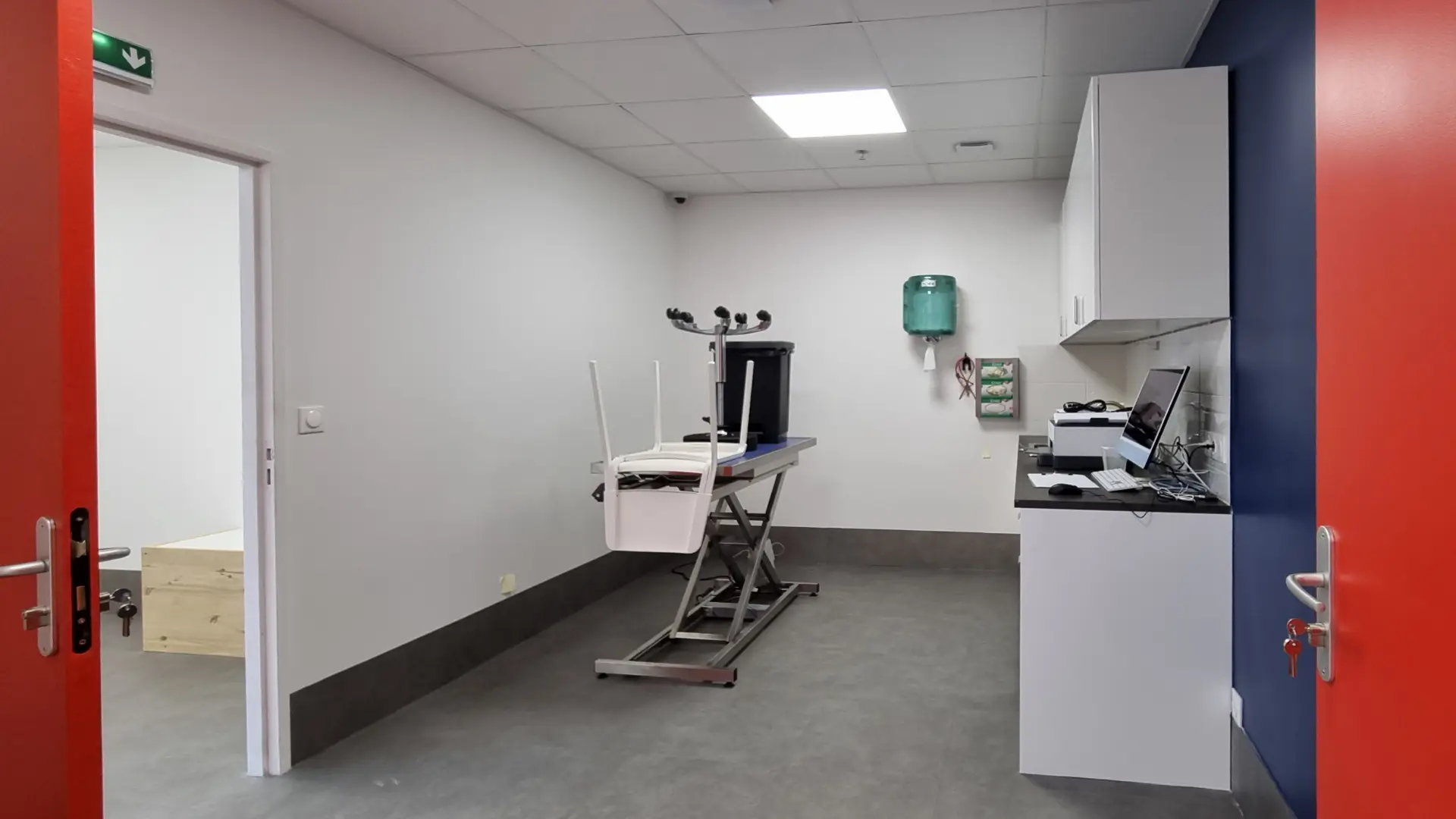 Salle de consultation vétérinaire moderne avec murs blancs, plinthes grises et une porte rouge vif, éclairée par un néon.