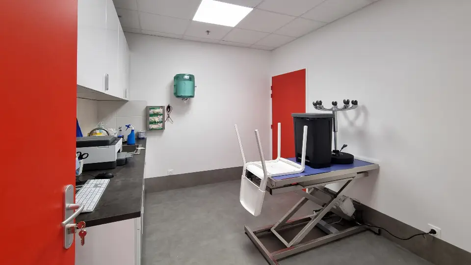Salle de consultation vétérinaire, murs blancs, sol gris, mobilier d'examen et porte rouge vif, éclairage LED.