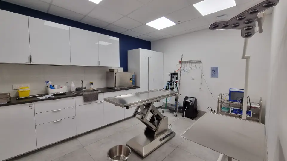 Salle d'opération vétérinaire moderne avec mobilier blanc, murs clairs, plafond lumineux et équipements médicaux.