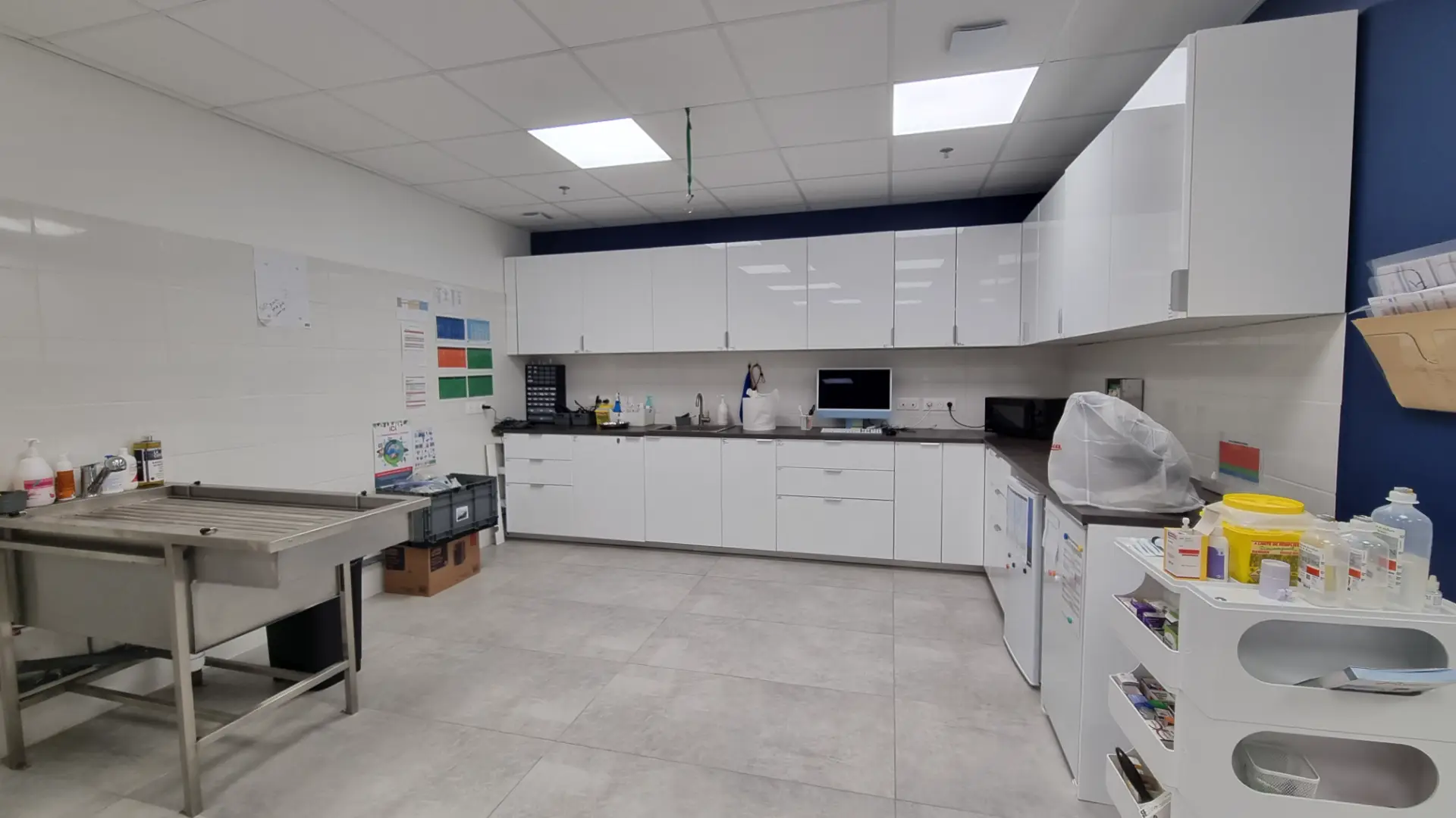 Salle de préparation vétérinaire, murs blancs, rangements hauts laqués blancs, évier, plan de travail fonctionnel.