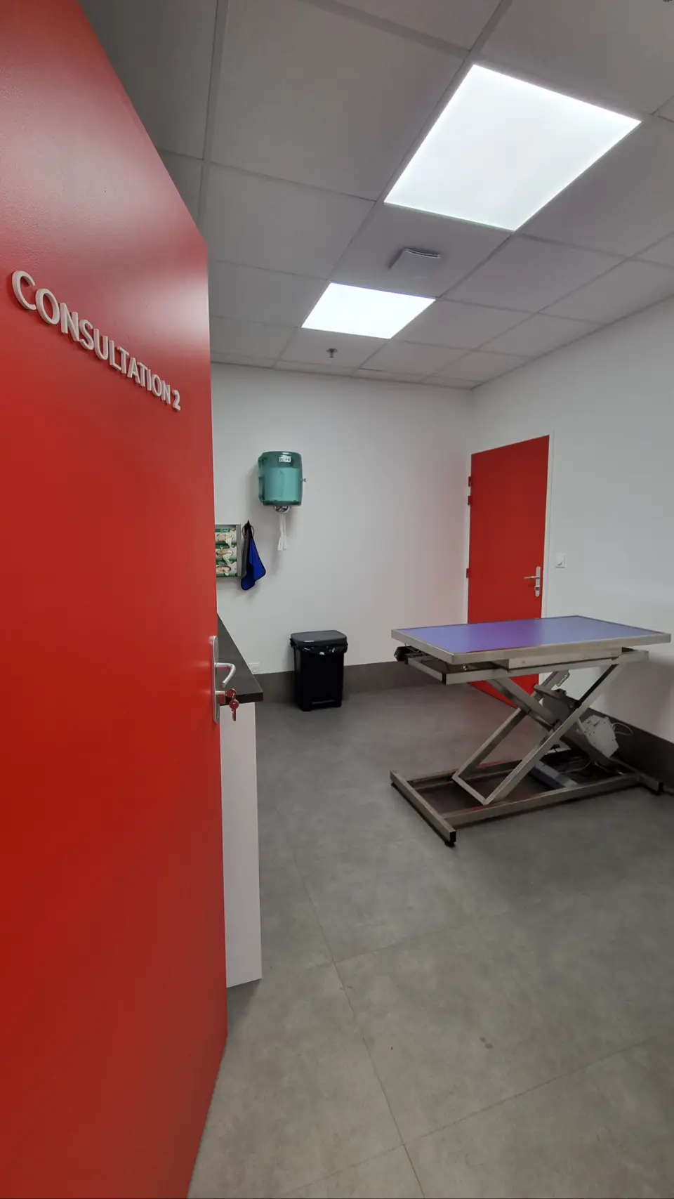 Salle de consultation vétérinaire moderne avec murs blancs, portes rouges, éclairage clair et une table d'examen réglable.