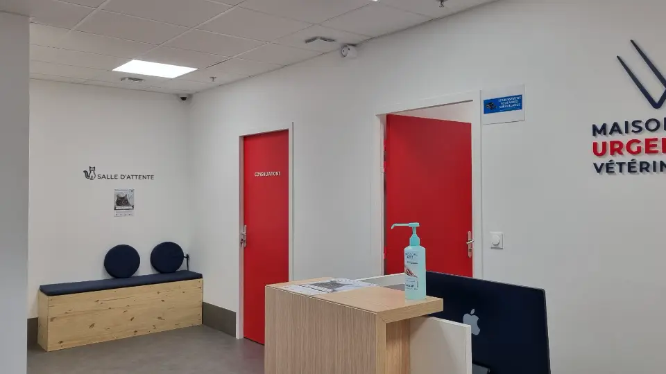 Vue d'une salle d'attente lumineuse avec banc en bois clair, coussins bleus, et deux portes rouges vives.