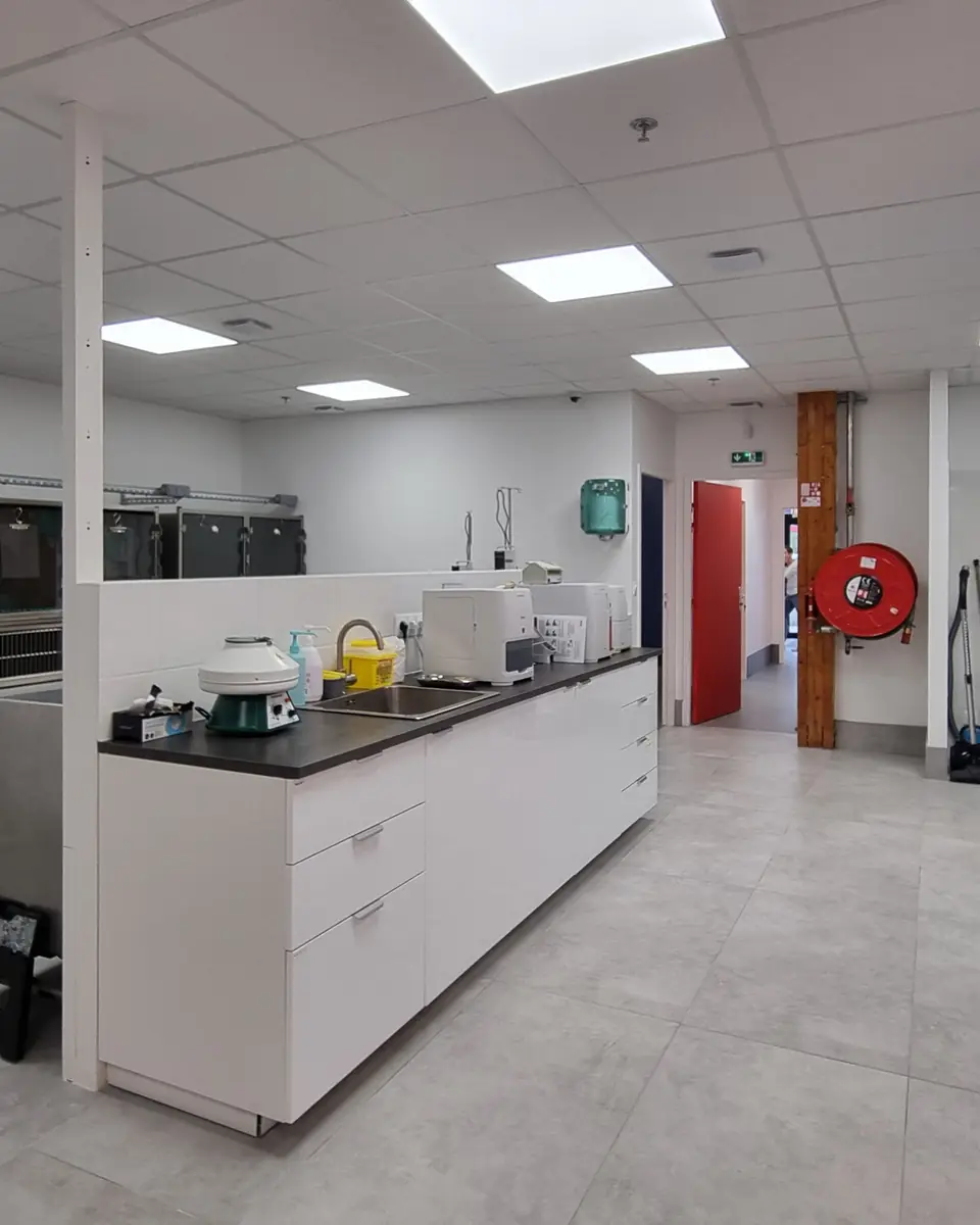 Clinique Vétérinaire MUV Le Mans : Aménagement & Rénovation | Xiléades, Agence Design+Build — Médical & Vétérinaire by Xiléades
