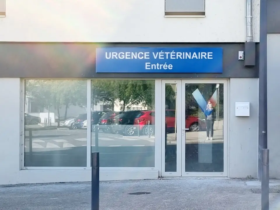 Vue de l'extérieur d'une façade blanche avec une grande vitrine et une enseigne bleue "Urgence Vétérinaire Entrée".