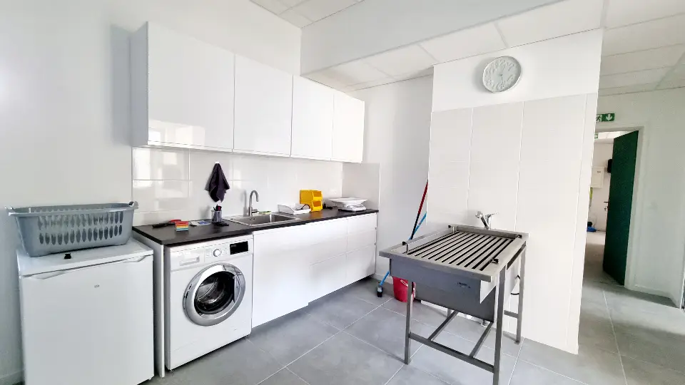 Buanderie moderne et lumineuse avec lave-linge, évier, armoires blanches et table de toilettage métallique.