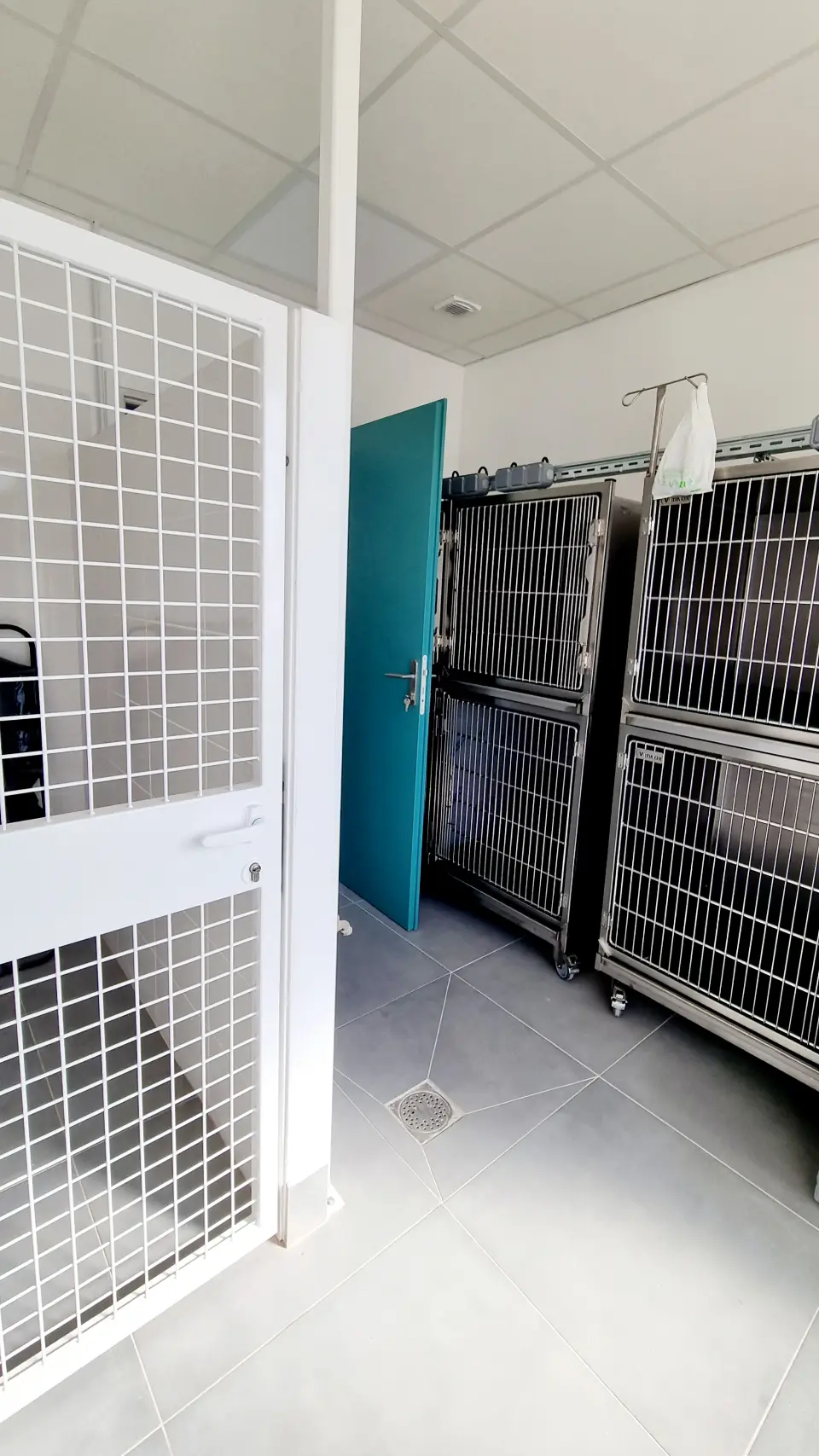 Intérieur d'un chenil vétérinaire: une porte blanche grillagée ouverte devant des cages métalliques et une porte turquoise.