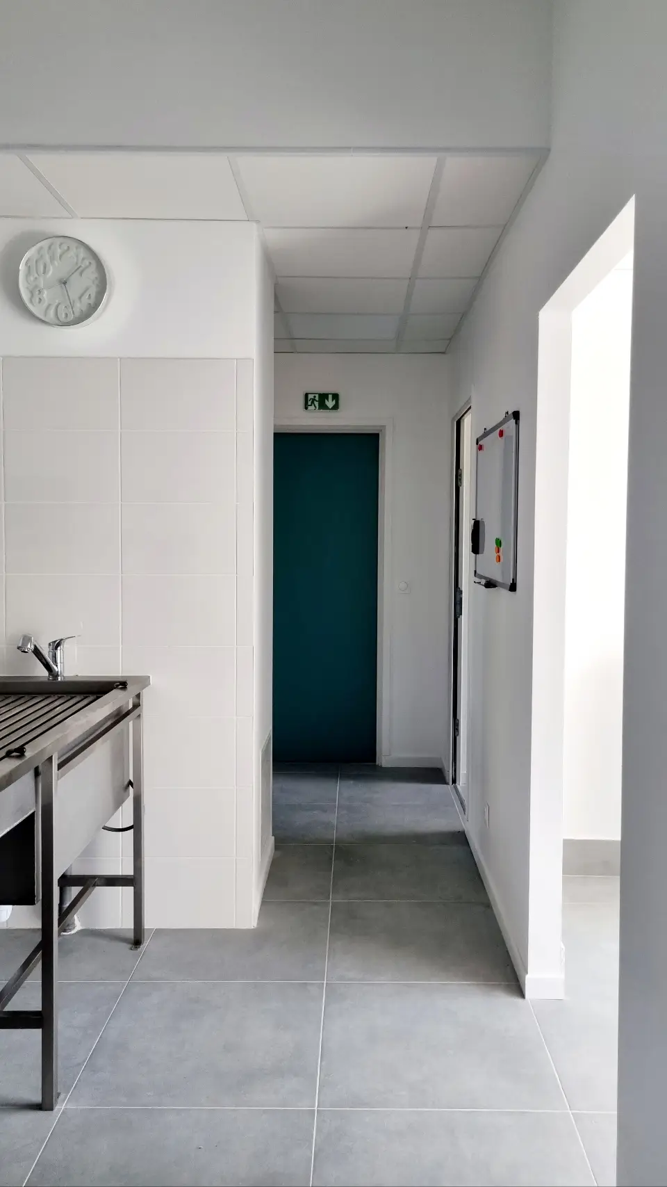 Couloir clinique vétérinaire carrelées gris, évier inox sur carrelage blanc, porte verte, tableau blanc, lumière vive.