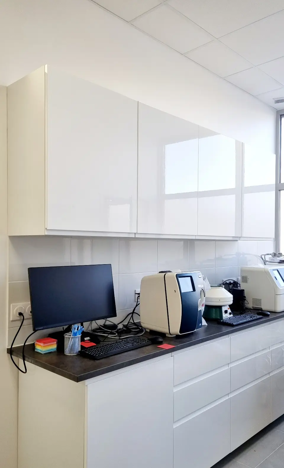 Espace de travail clinique vétérinaire : mobilier blanc laqué, comptoir sombre, équipements médicaux, lumière naturelle.