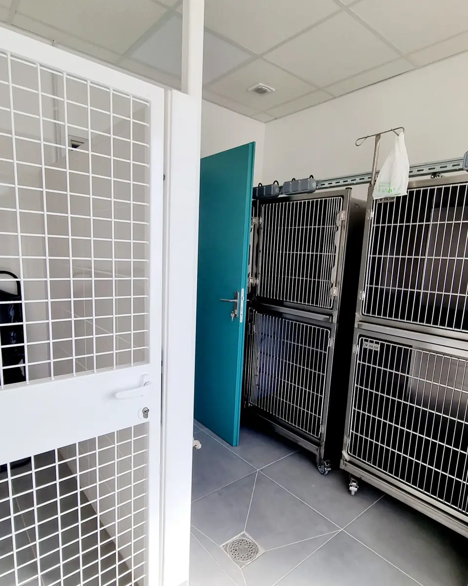 MUV Mâcon : Aménagement Espace de Travail & Clinique Vétérinaire | Xiléades, Agence Design+Build — Médical & Vétérinaire by Xiléades