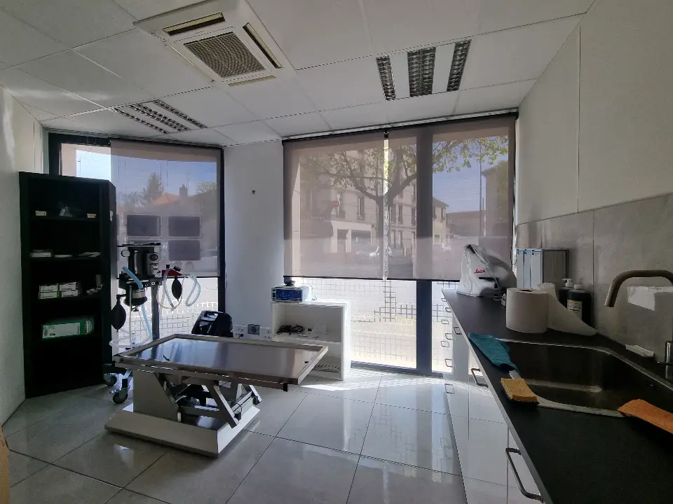 Salle d'opération vétérinaire moderne avec table d'examen en acier inoxydable sous un éclairage fluorescent vif.