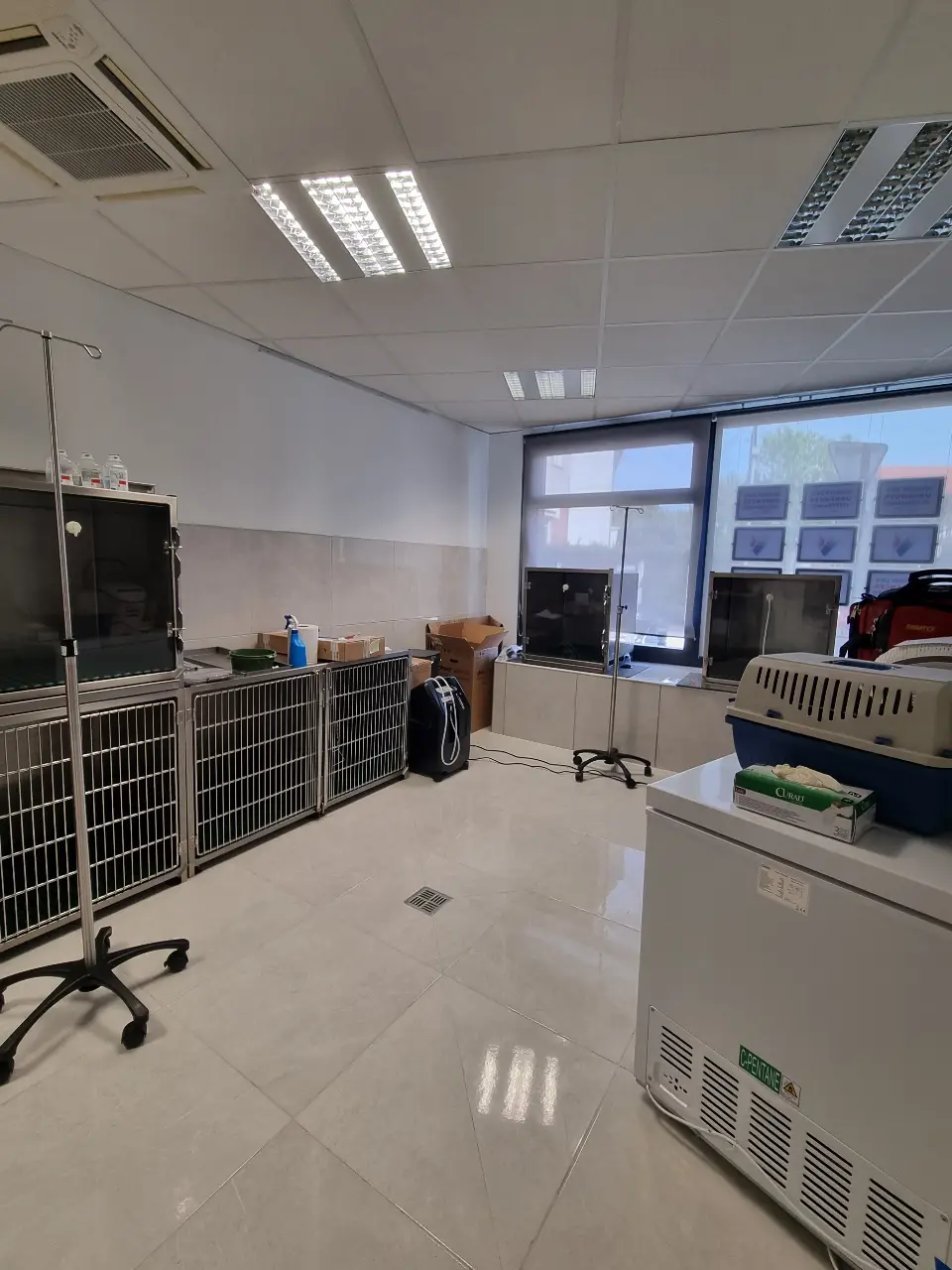 Intérieur clinique vétérinaire lumière douce, sol carrelé gris et installations modulaires cages et accessoires, espace fonctionnel.