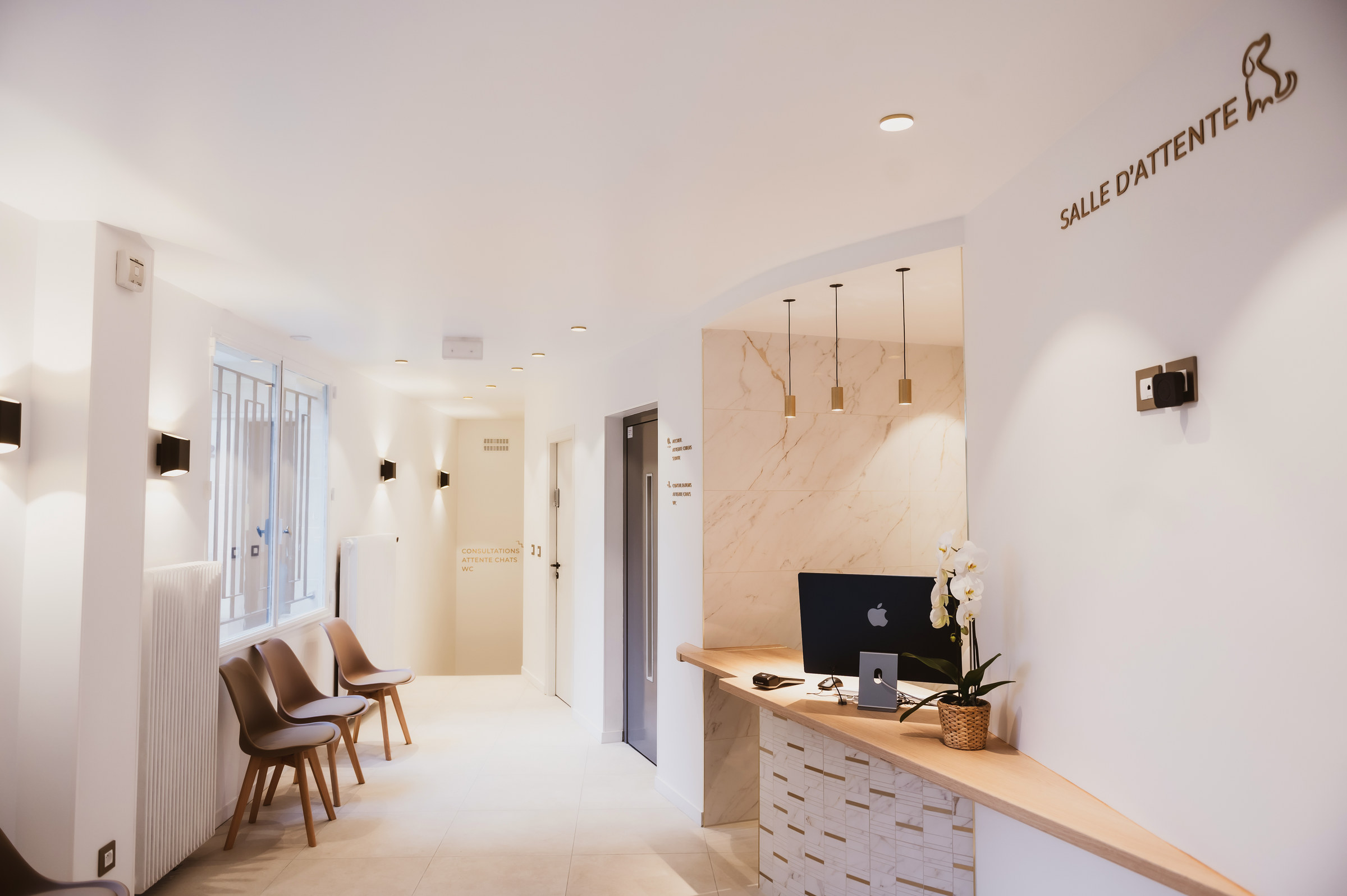 MUV Neuilly-sur-Seine : Rénovation & Aménagement Locaux Pro Clé en Main Paris