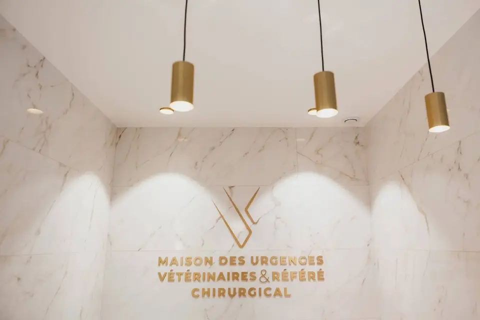 MUV Neuilly-sur-Seine : Rénovation & Aménagement Locaux Pro Clé en Main Paris — vue 2