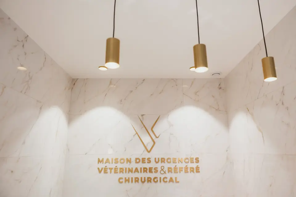 Mur en marbre portant le logo doré de la Maison des Urgences Vétérinaires