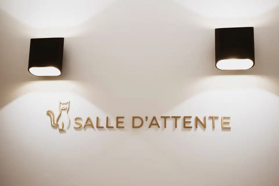 Signalétique « Salle d'attente » en lettres dorées sous appliques murales