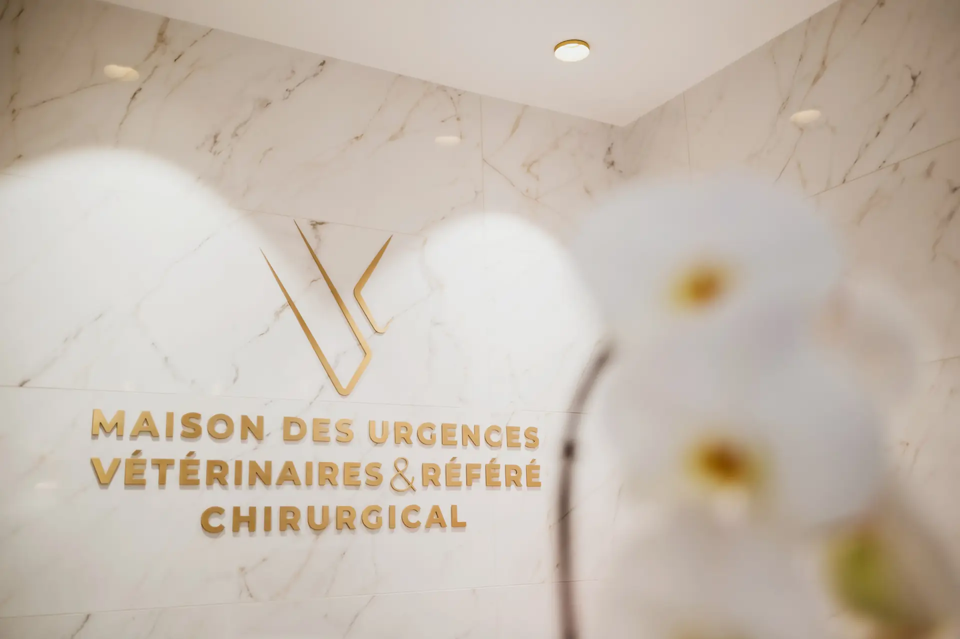 Logo doré sur marbre, orchidée au premier plan