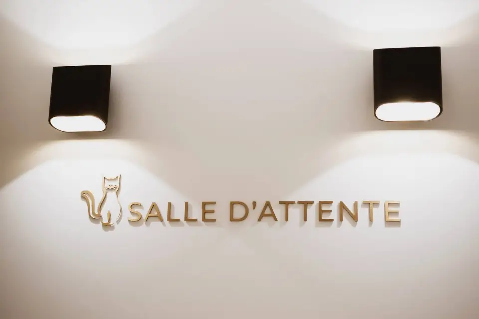 MUV Neuilly-sur-Seine : Rénovation & Aménagement Locaux Pro Clé en Main Paris — vue 13
