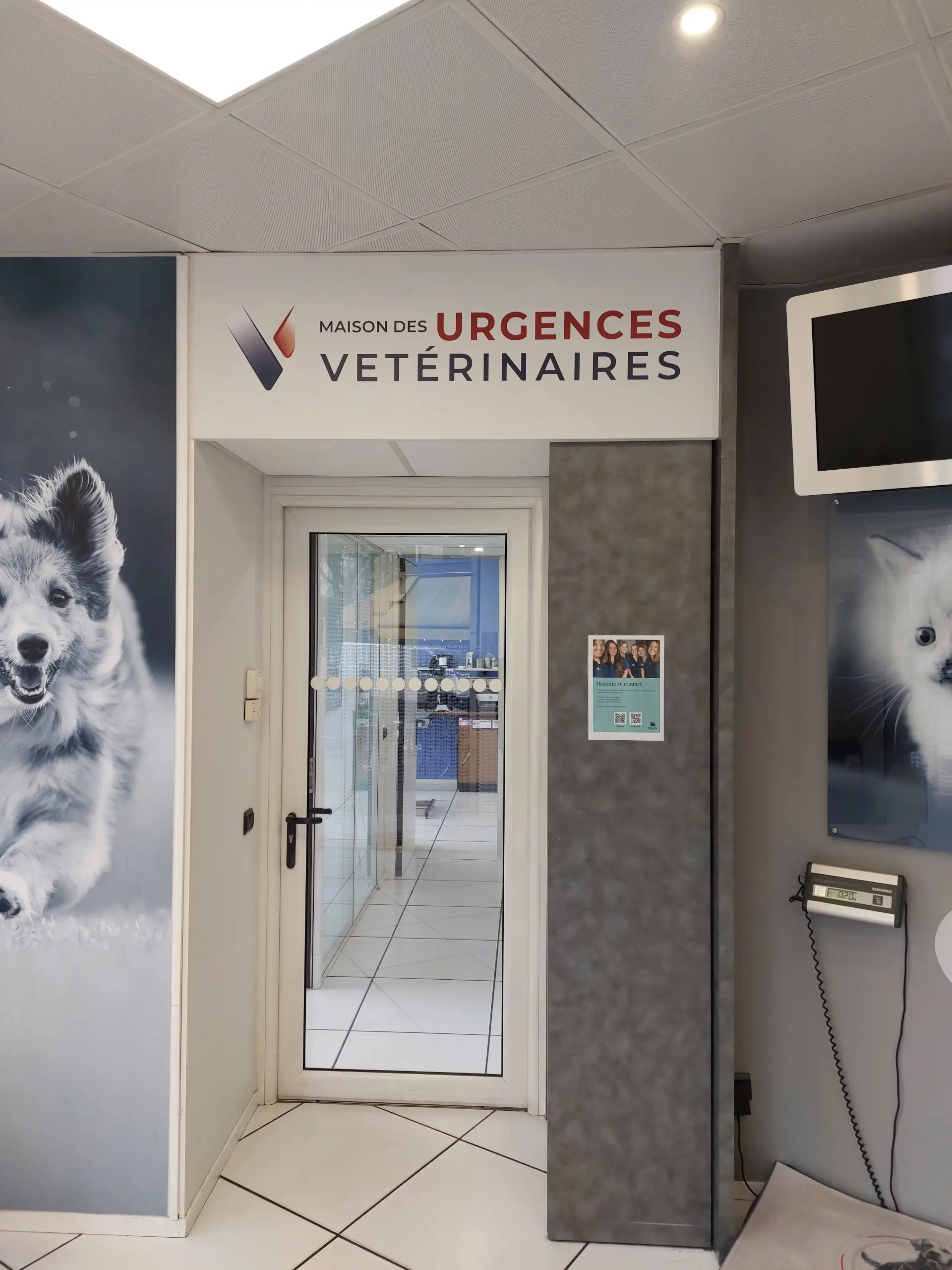 Vue en plongée sur le couloir vitré d'un centre vétérinaire moderne, avec un sol carrelé et un panneau mural distinctif.