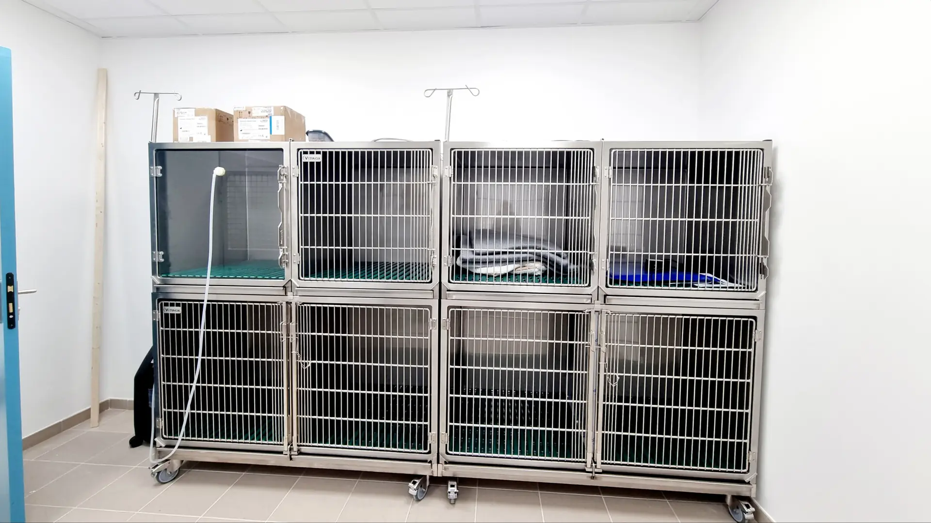 Espace d'hospitalisation, cages inox sur roulettes
