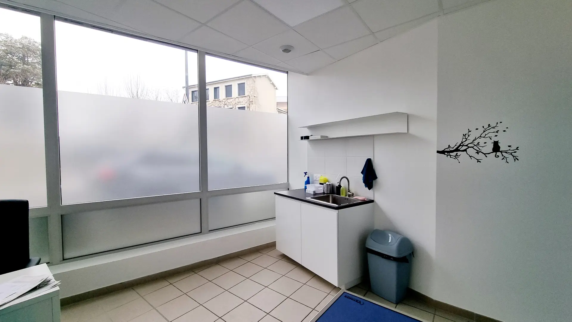 Salle de soin vétérinaire lumineuse avec carrelage clair, évier en acier encastré et fenêtre décorée d'un dépoli.