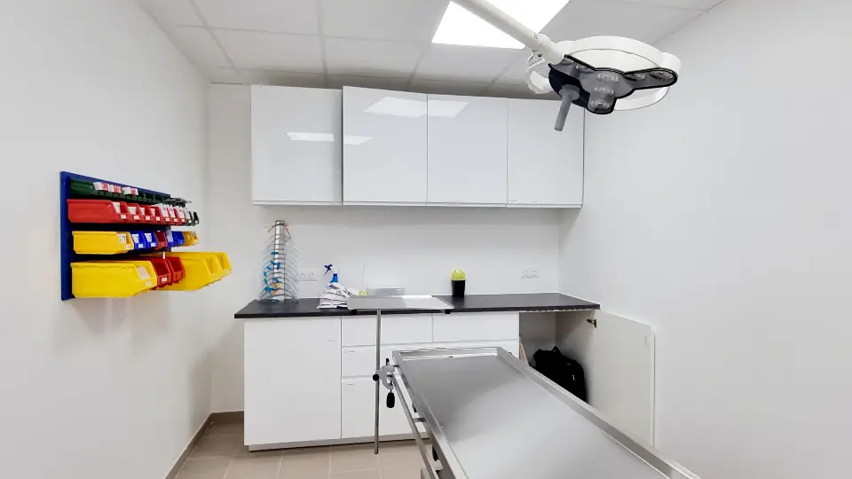 Salle d'opération vétérinaire moderne et lumineuse avec table en inox, mobilier blanc, casiers de rangement colorés.