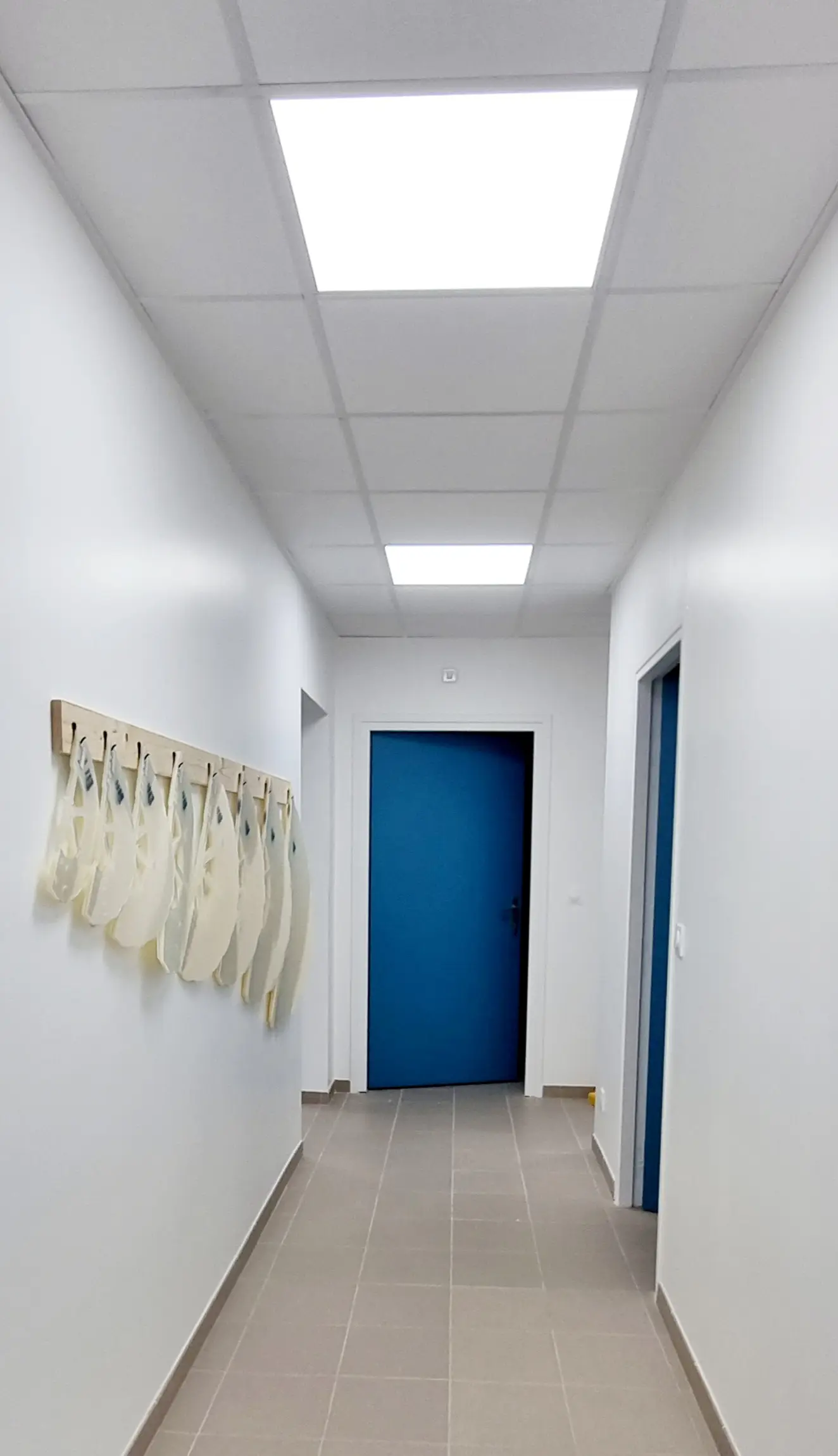 Couloir lumineux et étroit d'une clinique vétérinaire : murs blancs, portes bleu vif, sol carrelé beige. Des sacs de protection pendent à gauche.