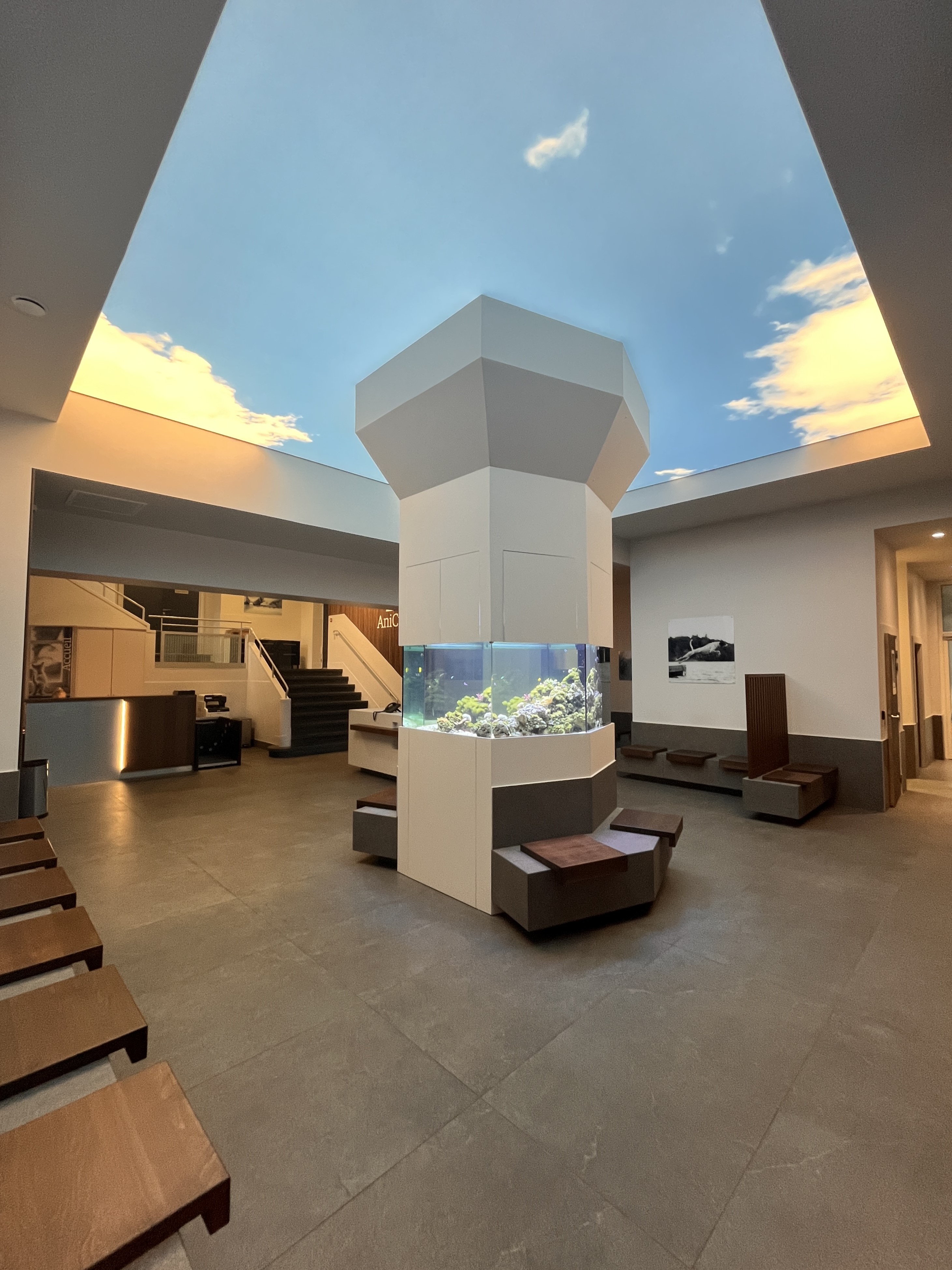Diseño Clínica Veterinaria Estrasburgo | Xiléades, Agencia Arquitectura Design+Build